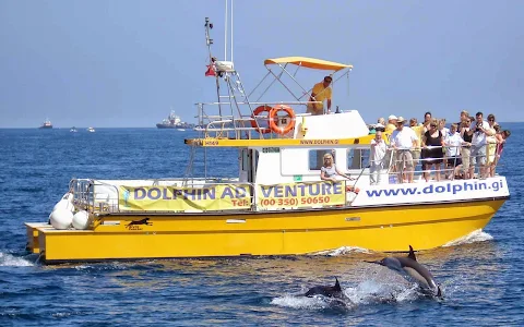 Dolphin Adventure image
