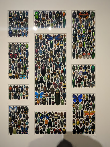 Event Venue «Gallery of Amazing Things», reviews and photos, 481 S Federal Hwy, Dania Beach, FL 33004, USA