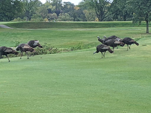 Private Golf Course «Blue Mound Golf and Country Club», reviews and photos, 10122 W North Ave, Wauwatosa, WI 53226, USA