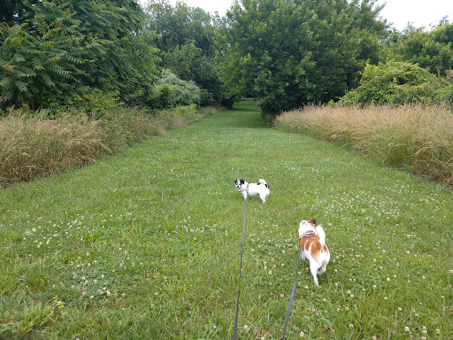 Historical Place «The Kernstown Battlefield», reviews and photos, 610 Battle Park Dr, Winchester, VA 22601, USA