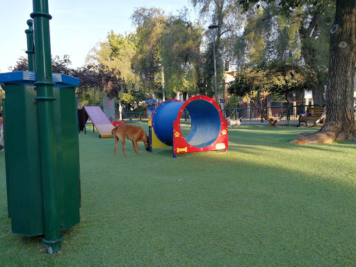 Parques para ir con perros en Santiago de Chile
