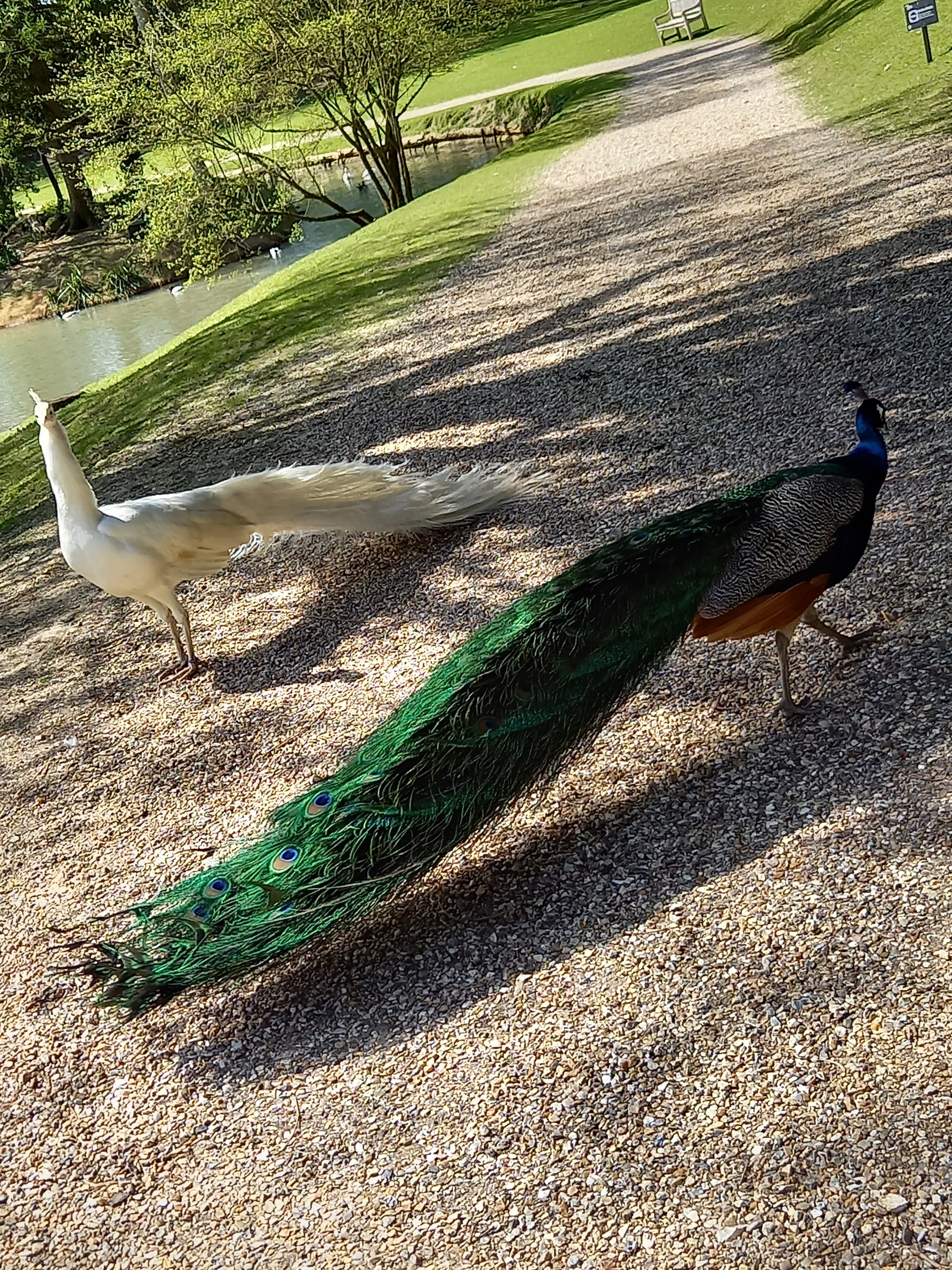 Photo n° 5 de l'avis de Marion.o fait le 17/04/2022 à 13:14