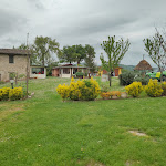 Photo n°4 de l'avis de Riccardo.o fait le 01/05/2023 à 15:05 sur le  Agriturismo Biologico Pieve Del Colle - Fattoria Didattica à Urbania