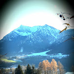 Photo n°2 de l'avis de Sonja.c fait le 19/12/2023 à 17:37 sur le  Schliersberg Alm à Schliersee