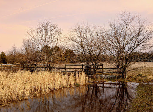 Museum «Battleship New Jersey», reviews and photos, 100 Clinton St, Camden, NJ 08103, USA