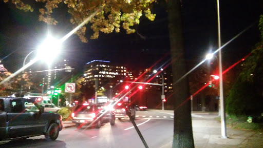 Park «Kittrel Park», reviews and photos, 120 Fisher Ave, White Plains, NY 10606, USA