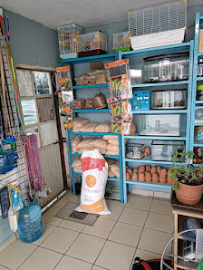 Don Bunny tienda de mascotas Cto Fragua de Sodio 129 a fracc, Colinas de la Fragua, La Ermita, 37358 Guanajuato, Gto., México