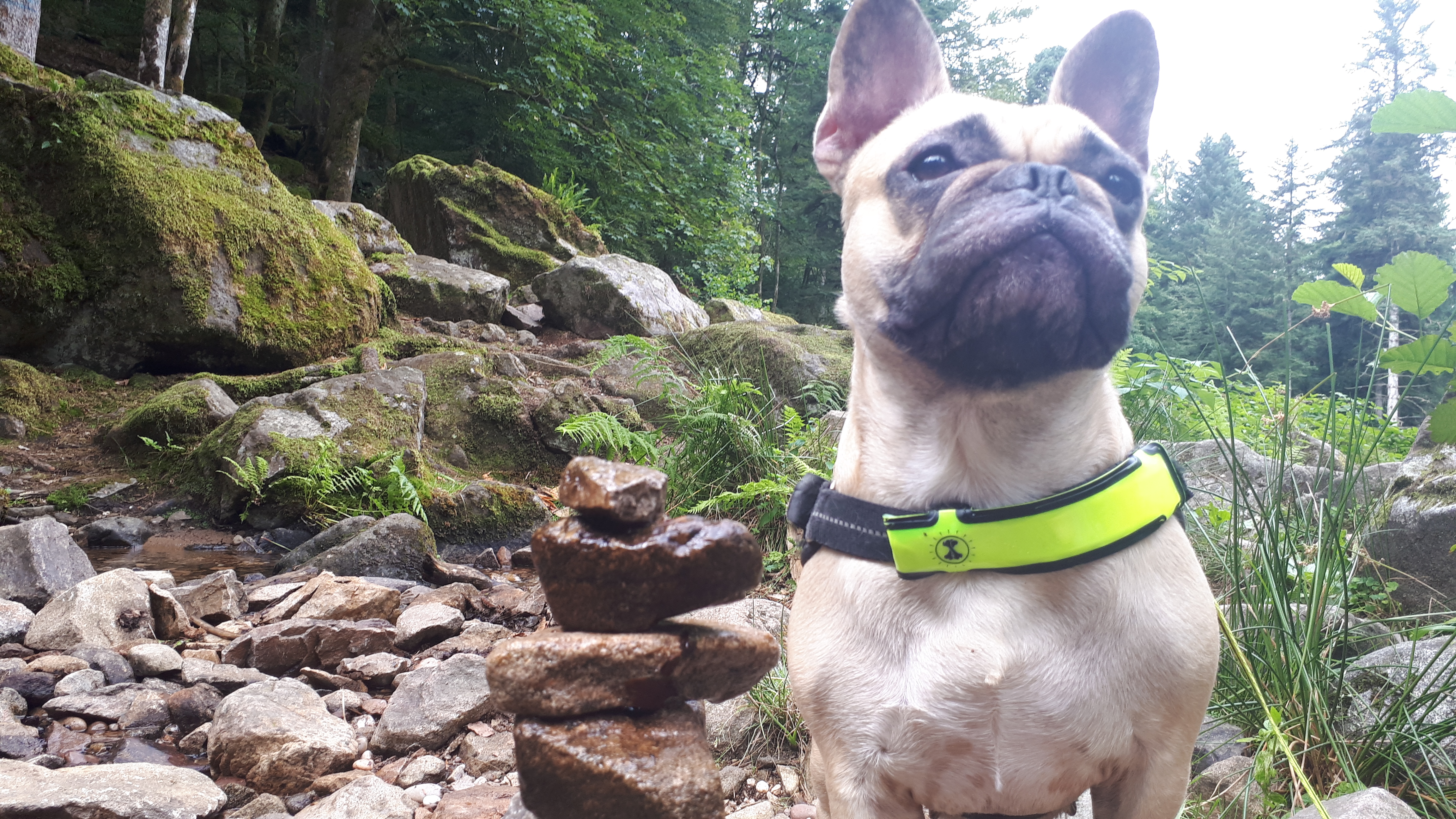 Photo n° 3 de l'avis de vincent.o fait le 11/08/2019 à 20:26
