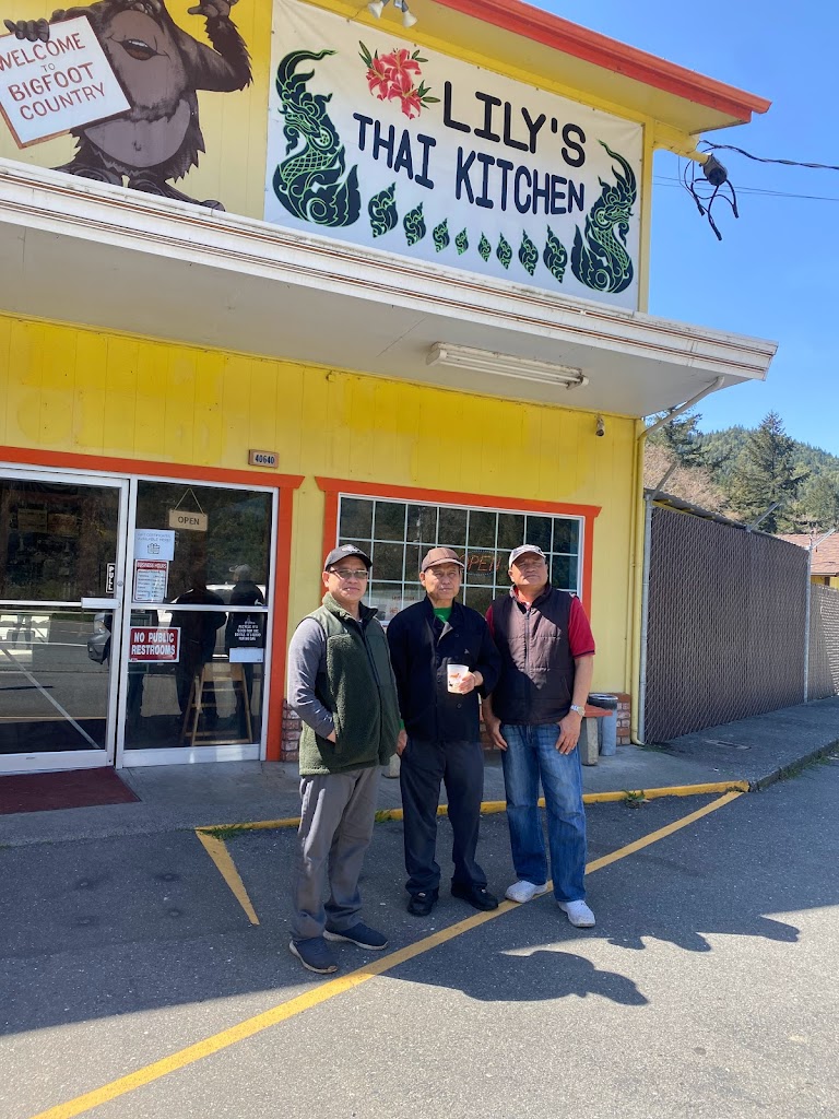 Lily's Thai Kitchen 95573