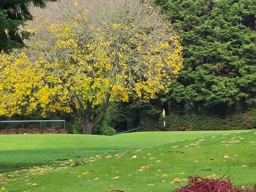 Public Golf Course «Lake Oswego Public Golf Course», reviews and photos, 17525 SW Stafford Rd, Lake Oswego, OR 97034, USA