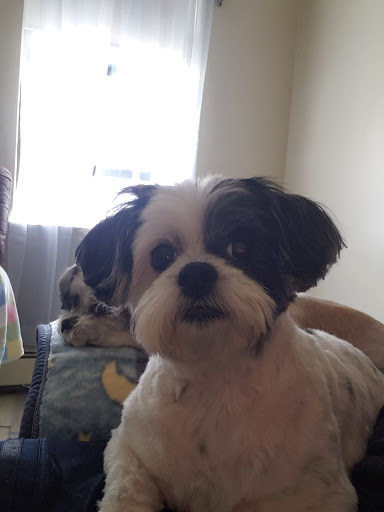 Pet Supply Store «Petco Animal Supplies», reviews and photos, 550 Providence Hwy, Dedham, MA 02026, USA