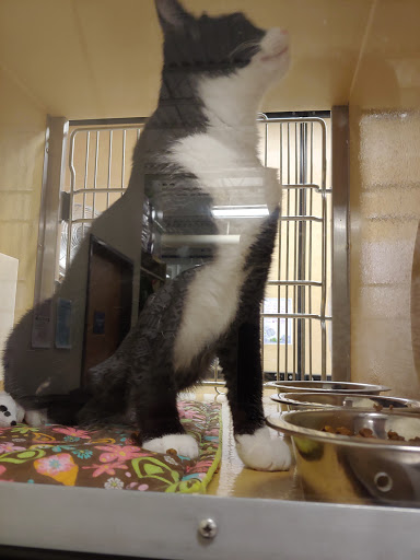 Pet Supply Store «PetSmart», reviews and photos, 1232 Hooper Ave, Toms River, NJ 08753, USA