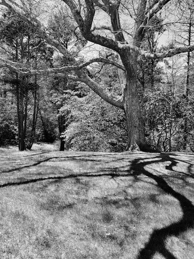 Heritage Museum «Heritage Museums & Gardens», reviews and photos, 67 Grove St, Sandwich, MA 02563, USA