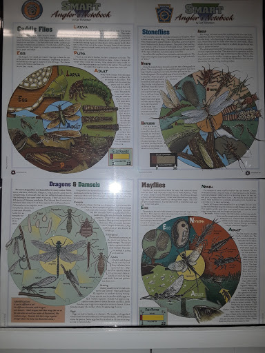 Museum «Clouds Hill Victorian Museum», reviews and photos, 4157 Post Rd, Warwick, RI 02886, USA