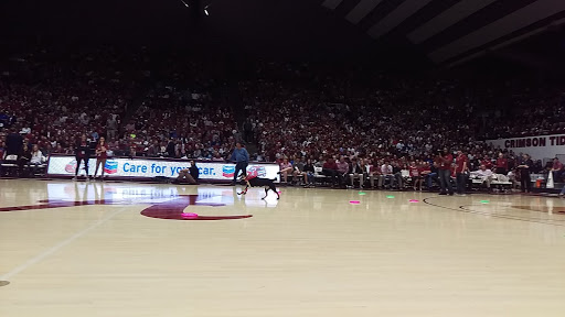 Stadium «Coleman Coliseum», reviews and photos, 323 Paul W Bryant Dr, Tuscaloosa, AL 35401, USA