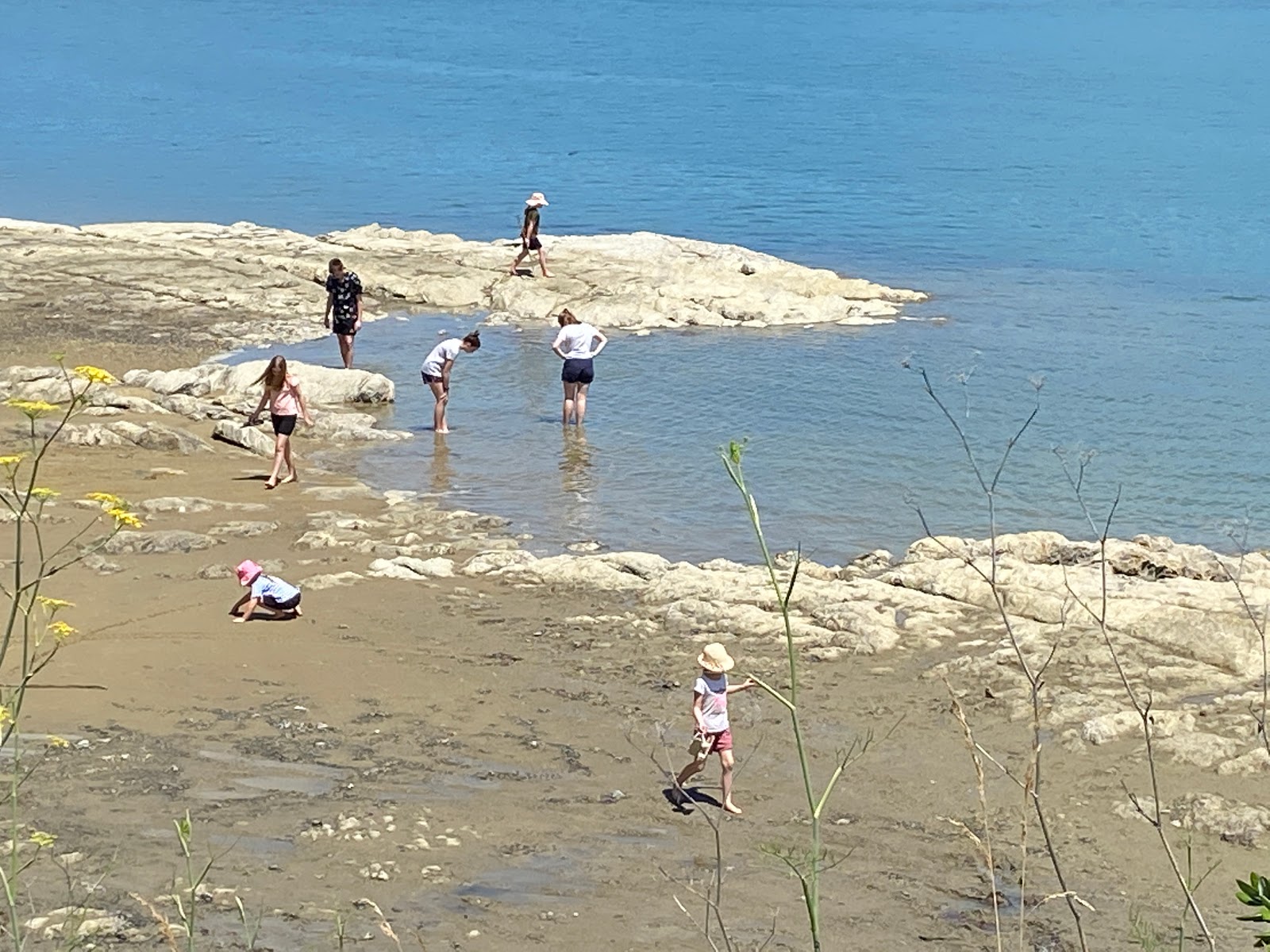 Koutu Beach'in fotoğrafı çok temiz temizlik seviyesi ile