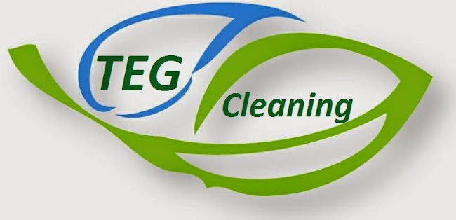 TEG Cleaning