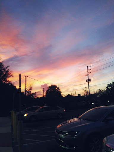 Home Goods Store «Dollar General», reviews and photos, 2640 E Orange Ave, Eustis, FL 32726, USA