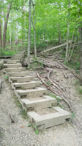 Tourist Attraction «Brandywine Gorge Trail», reviews and photos, 8176 Brandywine Rd, Sagamore Hills, OH 44067, USA