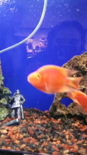 Pet Supply Store «Paws & Claws & Co», reviews and photos, 1801 E Market St, Warsaw, IN 46580, USA