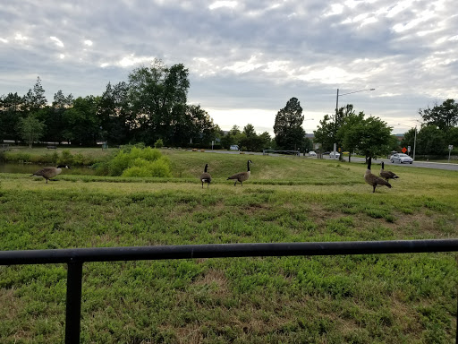 Park «Arrowbrook Park», reviews and photos, Field Point Rd, Herndon, VA 20171, USA