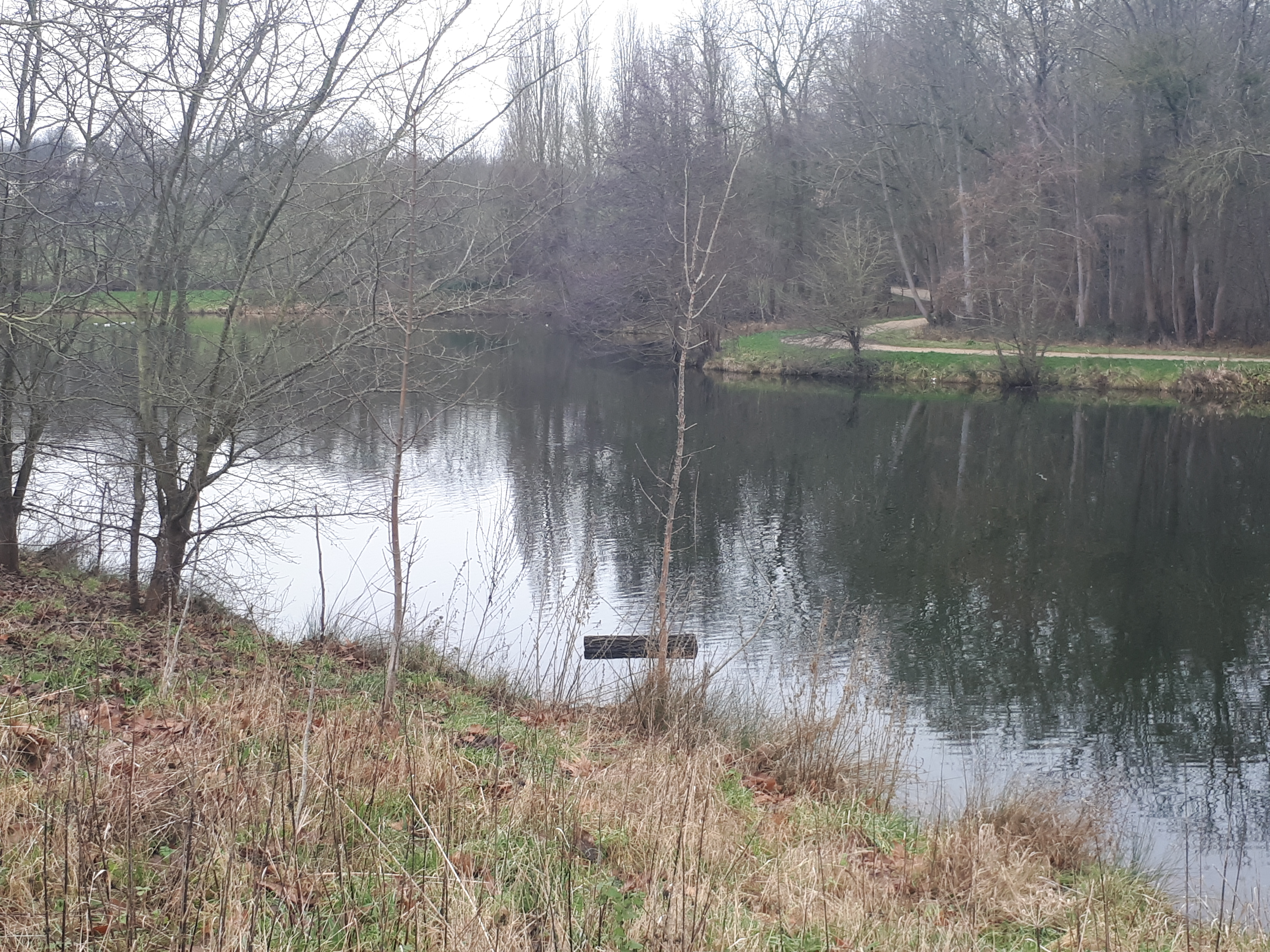 Photo n° 7 de l'avis de Magali.e fait le 07/01/2018 à 16:08