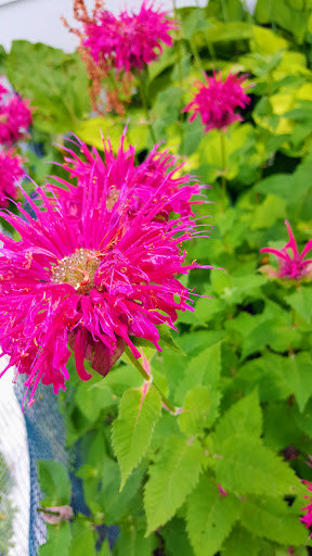 Golf Course «Prairiewood Golf Course», reviews and photos, 22 Prairiewood Dr S, Fargo, ND 58103, USA