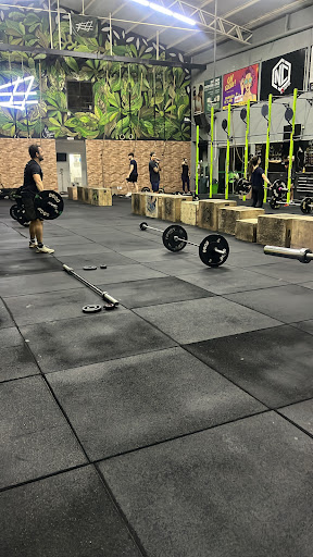 Logo da empresa - PRIMATAS CROSSFIT