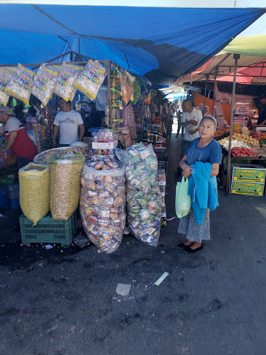 Mercado Guayulera