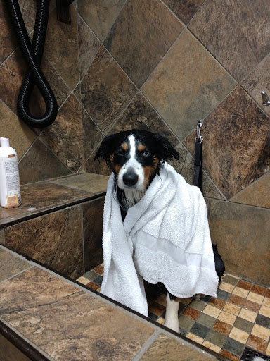 Pet Store «Pet Valu», reviews and photos, 7431 Westbranch Hwy, Lewisburg, PA 17837, USA