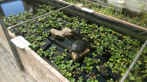 Florist «Hill Haven Farm & Greenhouse & Florist», reviews and photos, 7842 Center Rd, Valley City, OH 44280, USA