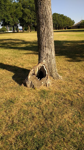 Recreation Center «Dottie Lynn Recreation Center», reviews and photos, 3200 Norwood Ln, Arlington, TX 76013, USA