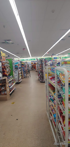 Dollar Store «Dollar Tree», reviews and photos, 250 Jericho Turnpike #80, Floral Park, NY 11001, USA