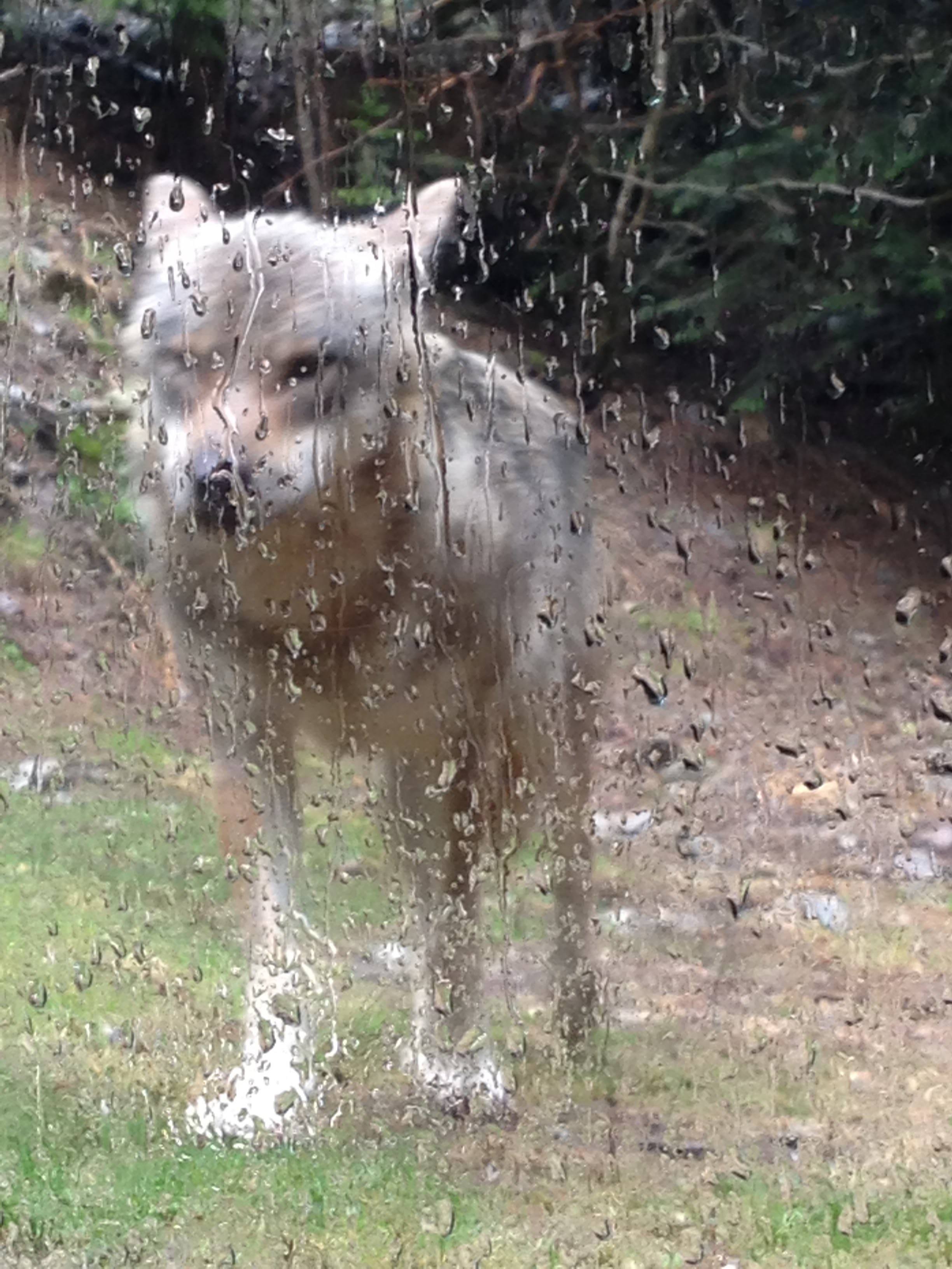 Photo n° 4 de l'avis de Lucille.a fait le 06/08/2018 à 22:01