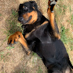 Photo n° 3 de l'avis de Juliette.h fait le 03/11/2019 à 21:59 pour Ferme des 4 Étoiles à Auffargis