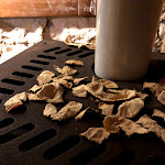 Photo n°15 de l'avis de Luca.e fait le 25/11/2018 à 11:24 sur le  Osteria Al Centro (da Carletto) à Arcugnano