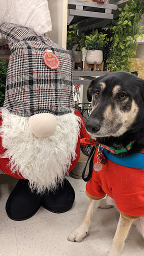 Department Store «Marshalls», reviews and photos, 2357 Myers St d, Oroville, CA 95966, USA