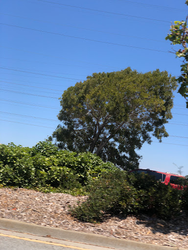 Self-Storage Facility «All American Self», reviews and photos, 2000 E 3rd Ave, San Mateo, CA 94404, USA