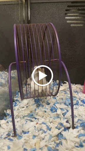 Pet Supply Store «PetSmart», reviews and photos, 131 Highlands Blvd Dr, Manchester, MO 63011, USA