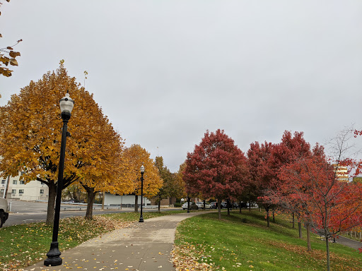 Park «Mill River Park», reviews and photos, 1010 Washington Blvd, Stamford, CT 06901, USA
