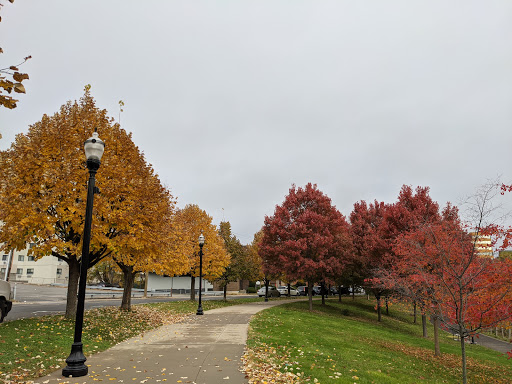 Mill River Park