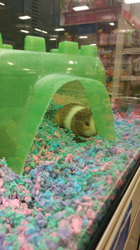 Pet Supply Store «PetSmart», reviews and photos, 12020 Cherry Hill Rd, Silver Spring, MD 20904, USA