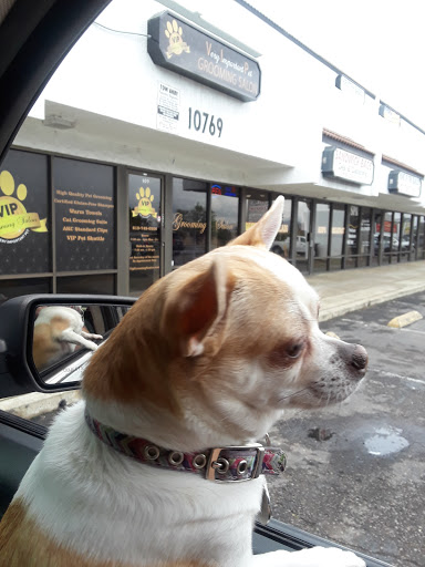Very Important Pet (VIP) Grooming Salon & Boutique