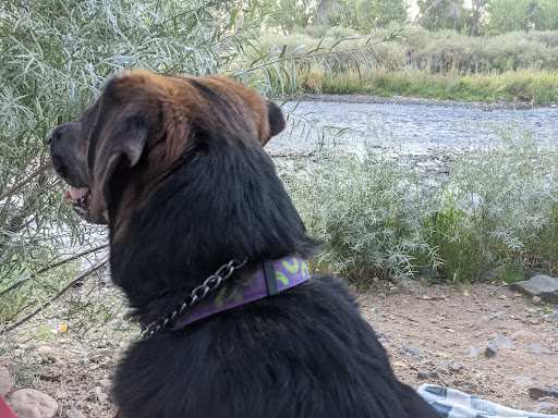 Park «South Platte Park and Carson Nature Center», reviews and photos, 3000 W Carson Dr, Littleton, CO 80120, USA