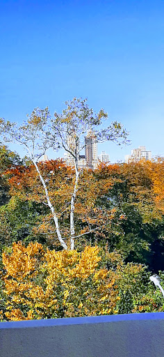 Modern Art Museum «Solomon R. Guggenheim Museum», reviews and photos, 1071 5th Ave, New York, NY 10128, USA