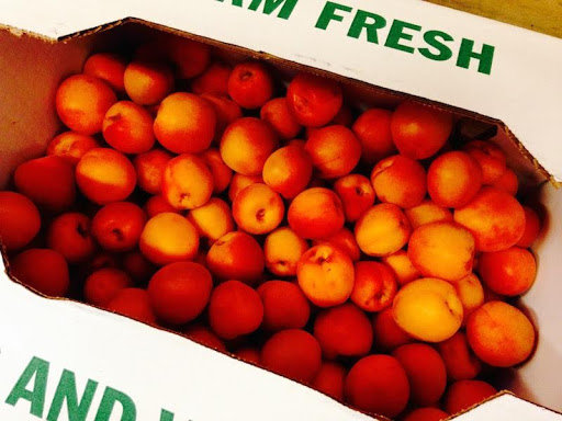 Produce Market «Blue Moon Acres», reviews and photos, 11 Willow Creek Dr, Pennington, NJ 08534, USA