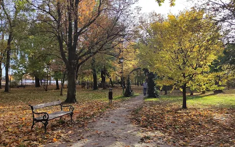 Park pałacowy image