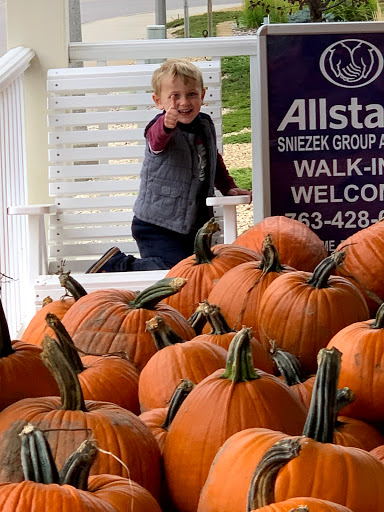 Insurance Agency «Allstate Insurance Agent: Sniezek Group Agency», reviews and photos