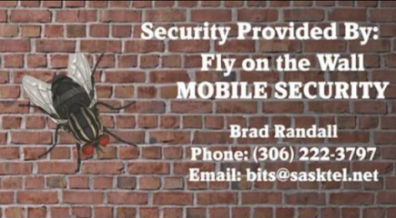 Fly on the Wall Mobile Security