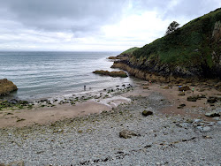 Photo de Helvick Bay Beach avec petite baie